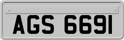 AGS6691