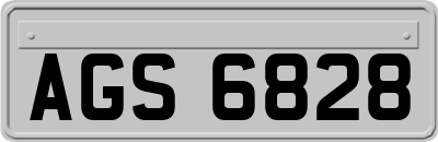 AGS6828