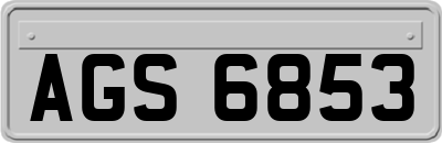 AGS6853