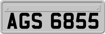 AGS6855