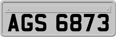 AGS6873