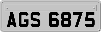AGS6875