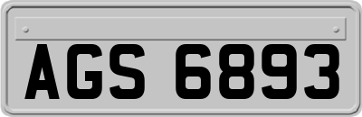 AGS6893