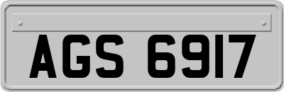 AGS6917