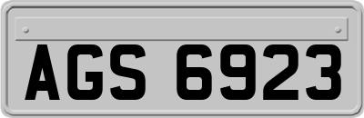 AGS6923