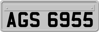 AGS6955