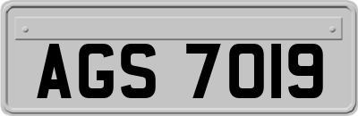 AGS7019
