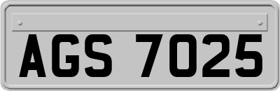 AGS7025