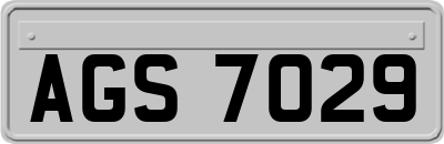 AGS7029