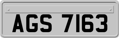 AGS7163