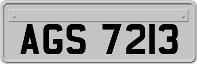 AGS7213