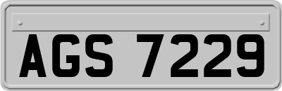 AGS7229