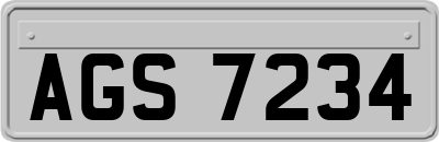 AGS7234
