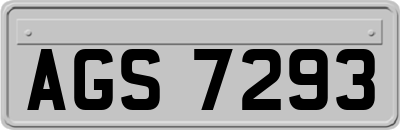 AGS7293