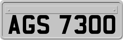 AGS7300