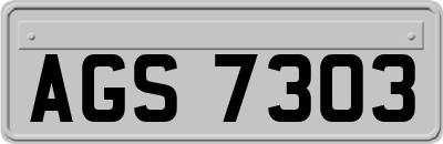 AGS7303
