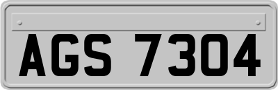 AGS7304