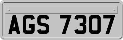 AGS7307