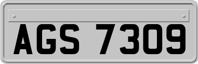AGS7309