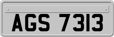 AGS7313