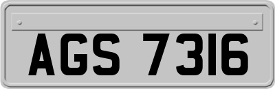AGS7316