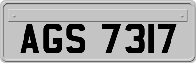 AGS7317