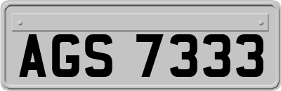 AGS7333