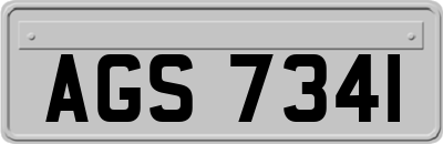 AGS7341