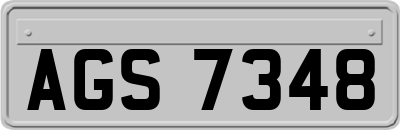 AGS7348
