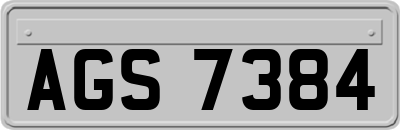 AGS7384