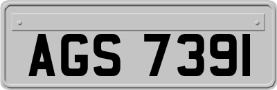 AGS7391