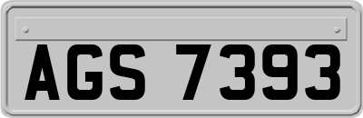 AGS7393