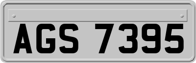 AGS7395