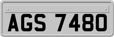 AGS7480