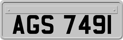 AGS7491