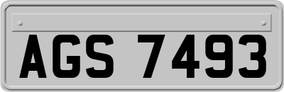 AGS7493