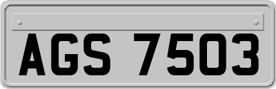 AGS7503