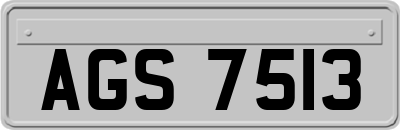 AGS7513