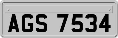 AGS7534