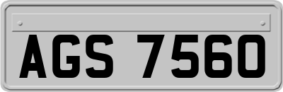 AGS7560