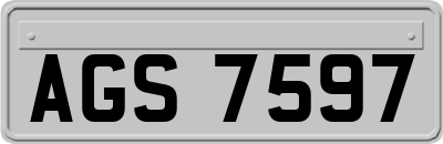 AGS7597