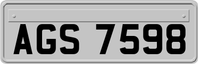 AGS7598