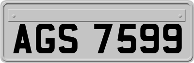 AGS7599