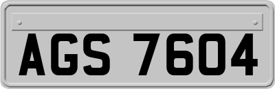 AGS7604