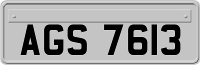 AGS7613