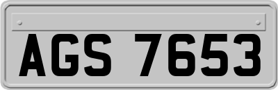 AGS7653