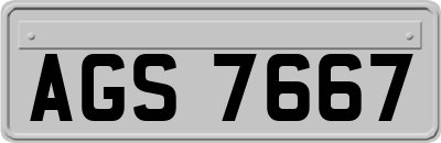AGS7667