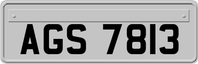 AGS7813