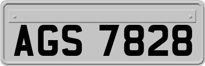 AGS7828