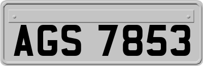 AGS7853